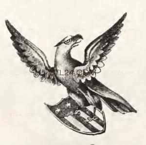 ANIMAL_0169